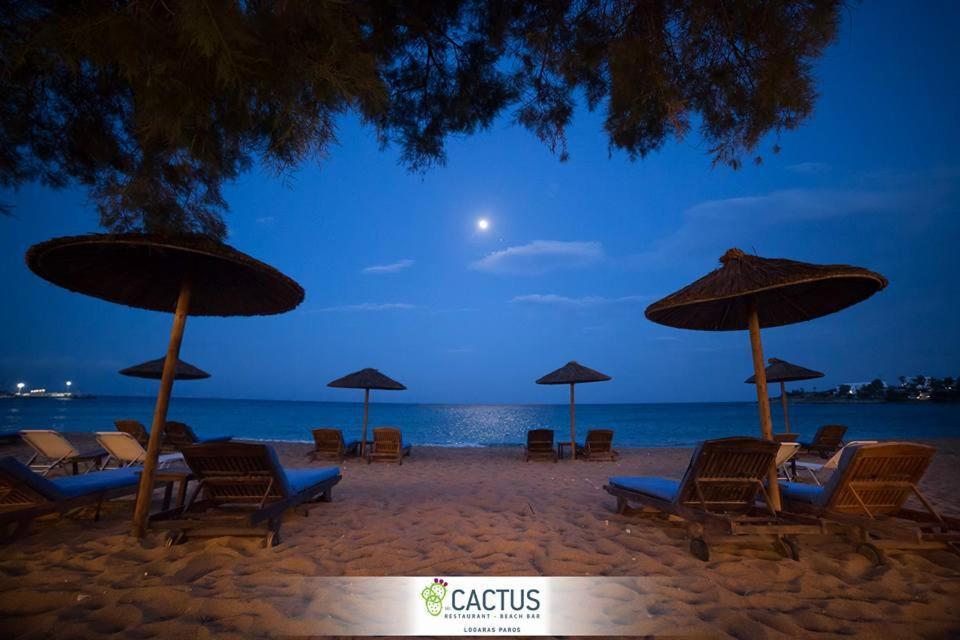 Cactus Beach Paros Logaras Exterior foto