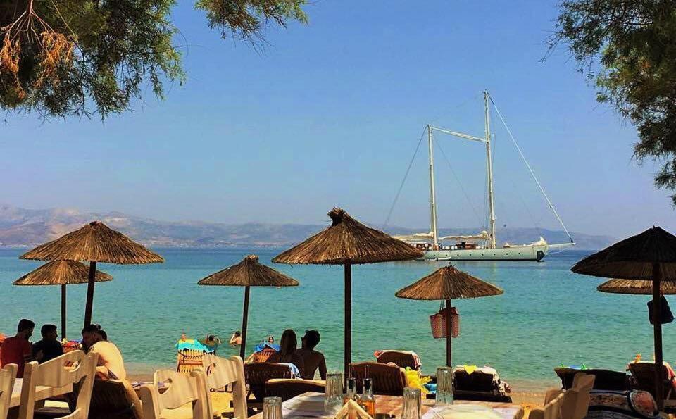 Cactus Beach Paros Logaras Exterior foto