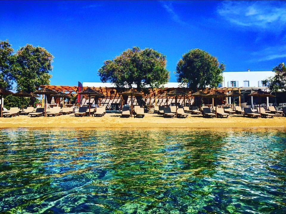 Cactus Beach Paros Logaras Exterior foto